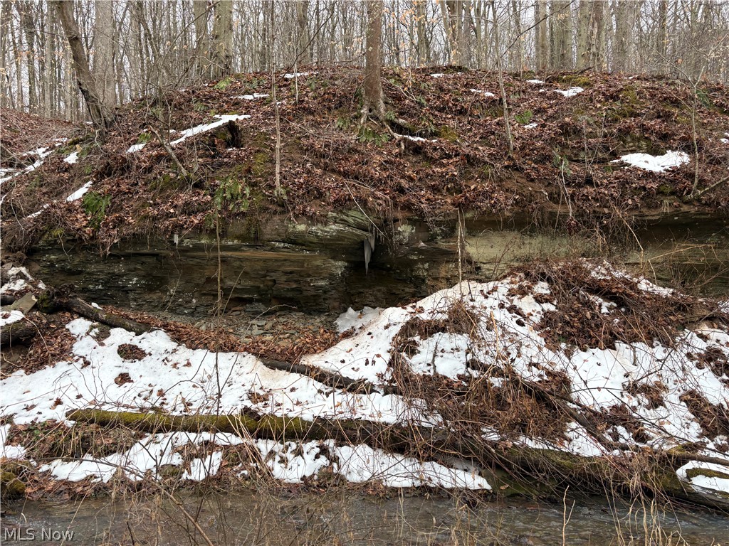 0 Tract 4 Twp Road Woodsfield, OH 43793 - Photo 5 of 34 Outcroppings