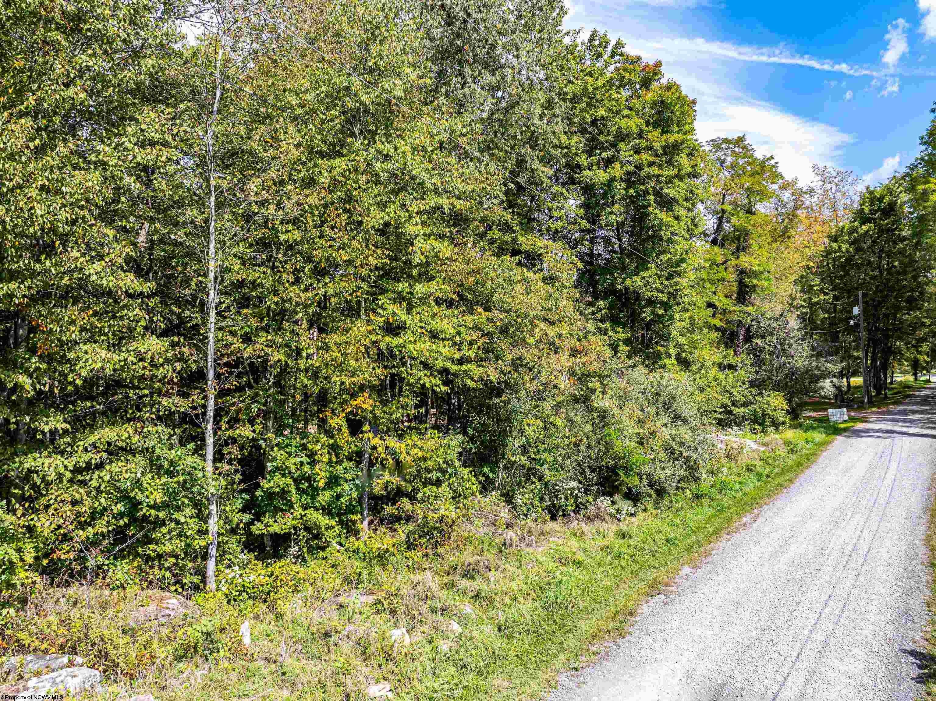 Lot 17 Spring Hill Albright, WV 26519 - Photo 4 of 24 Gallery Image 4