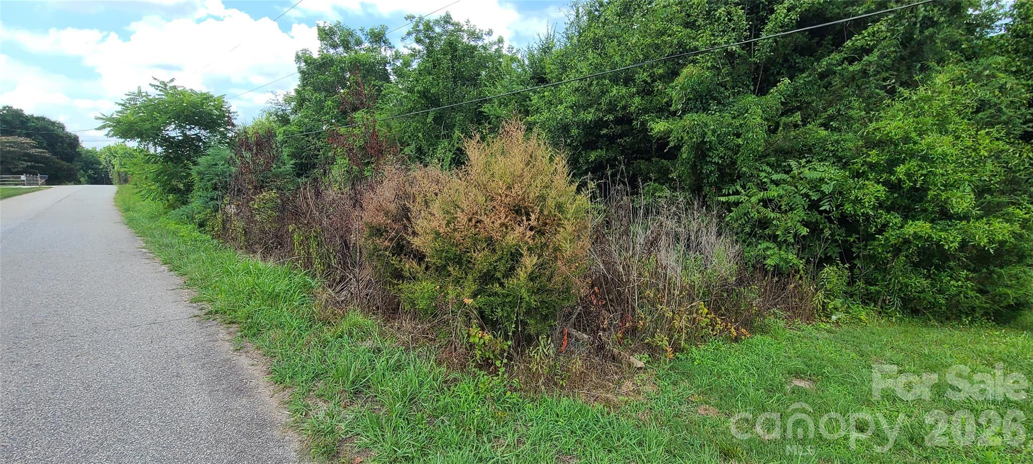0 Blackwelder Road Indian Land, SC 29707 - Photo 7 of 7
