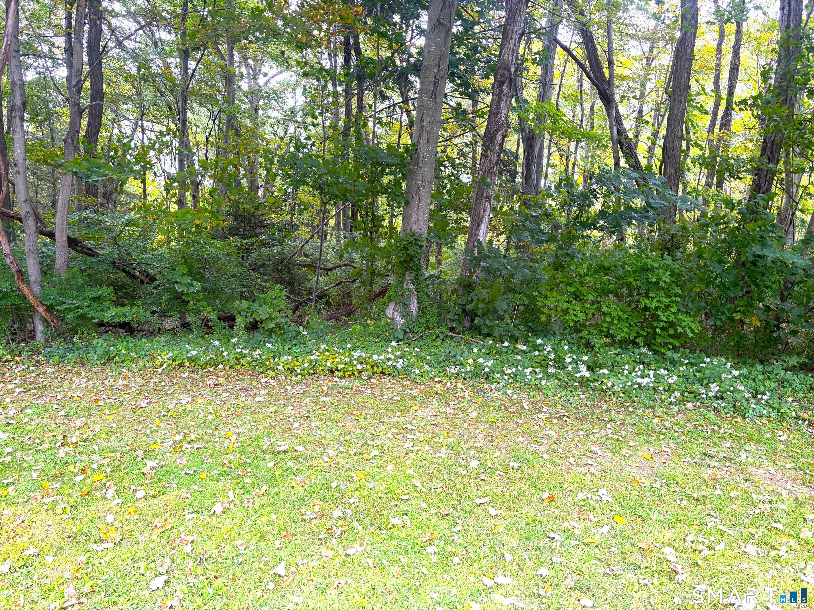 391 Main Street, Unit 207 Deep River, CT 06417 - Photo 7 of 14 View from your Patio