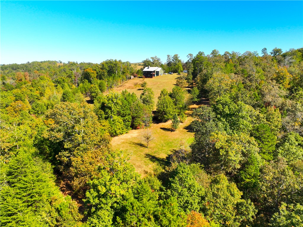 284 River Road Westminster, SC 29693 - Photo 7 of 47