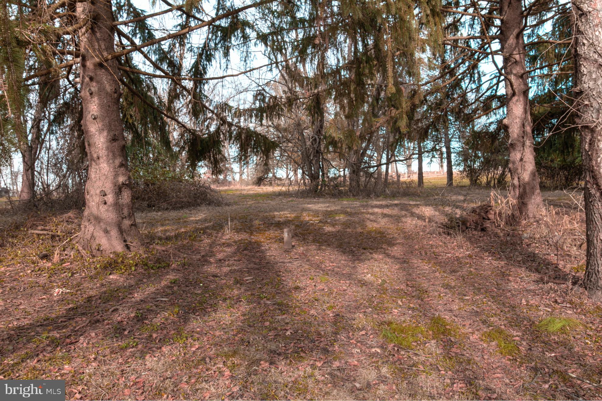 1003 Ebelhare Road Pottstown, PA 19465 - Photo 21 of 24