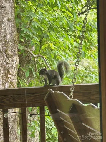 a view of swimming pool from a outdoor seating
