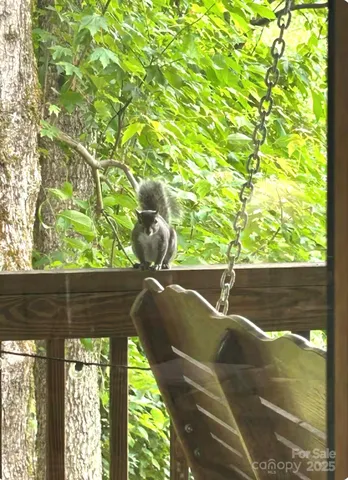 a view of mountain view with trees in the background