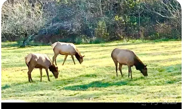 $369,000 | 71 Maggie Lane, Maggie Valley, NC 28751