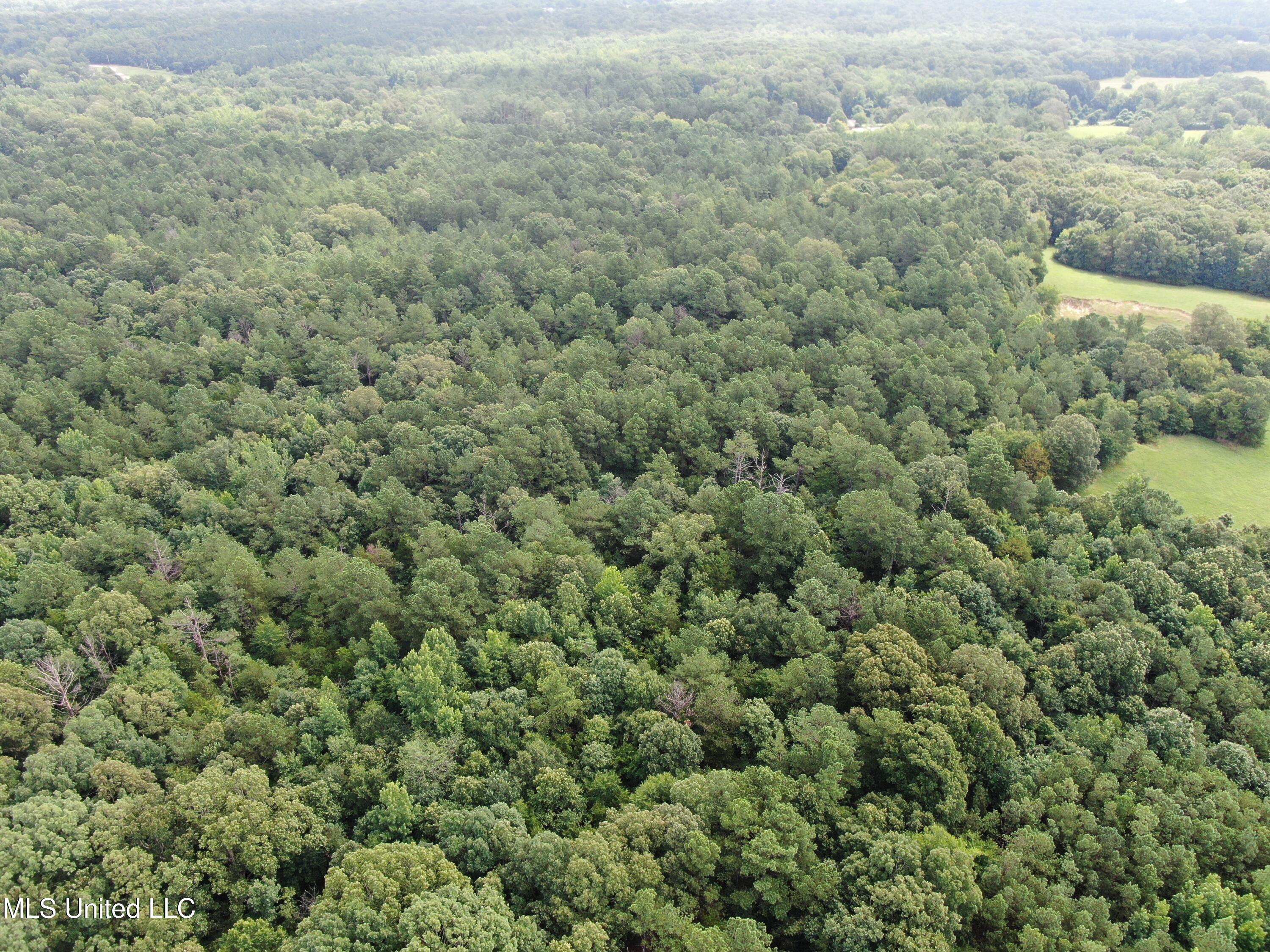 14495 Valley View Byhalia, MS 38611 - Photo 1 of 22 land