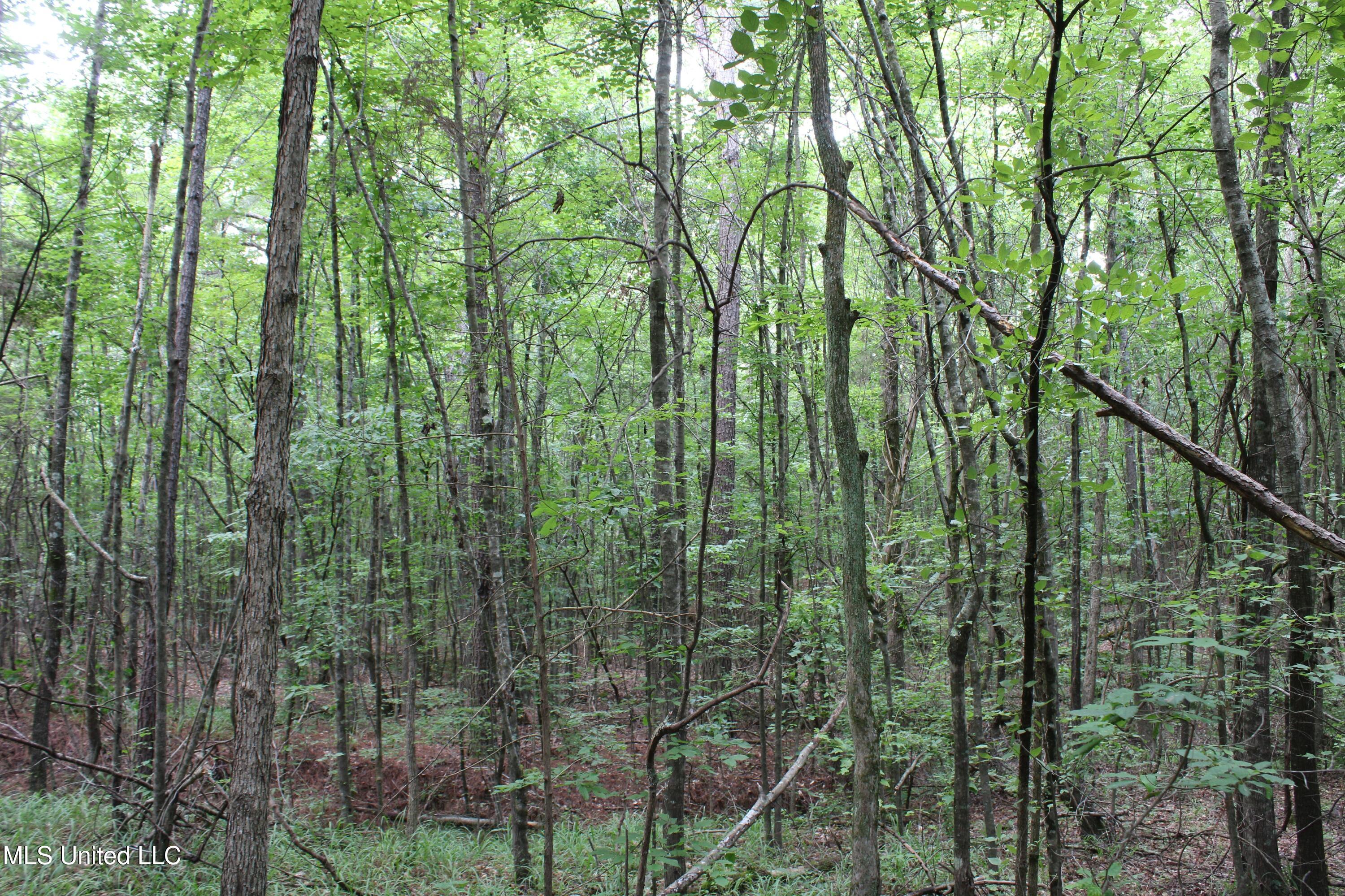 14495 Valley View Byhalia, MS 38611 - Photo 13 of 22 IMG_6285