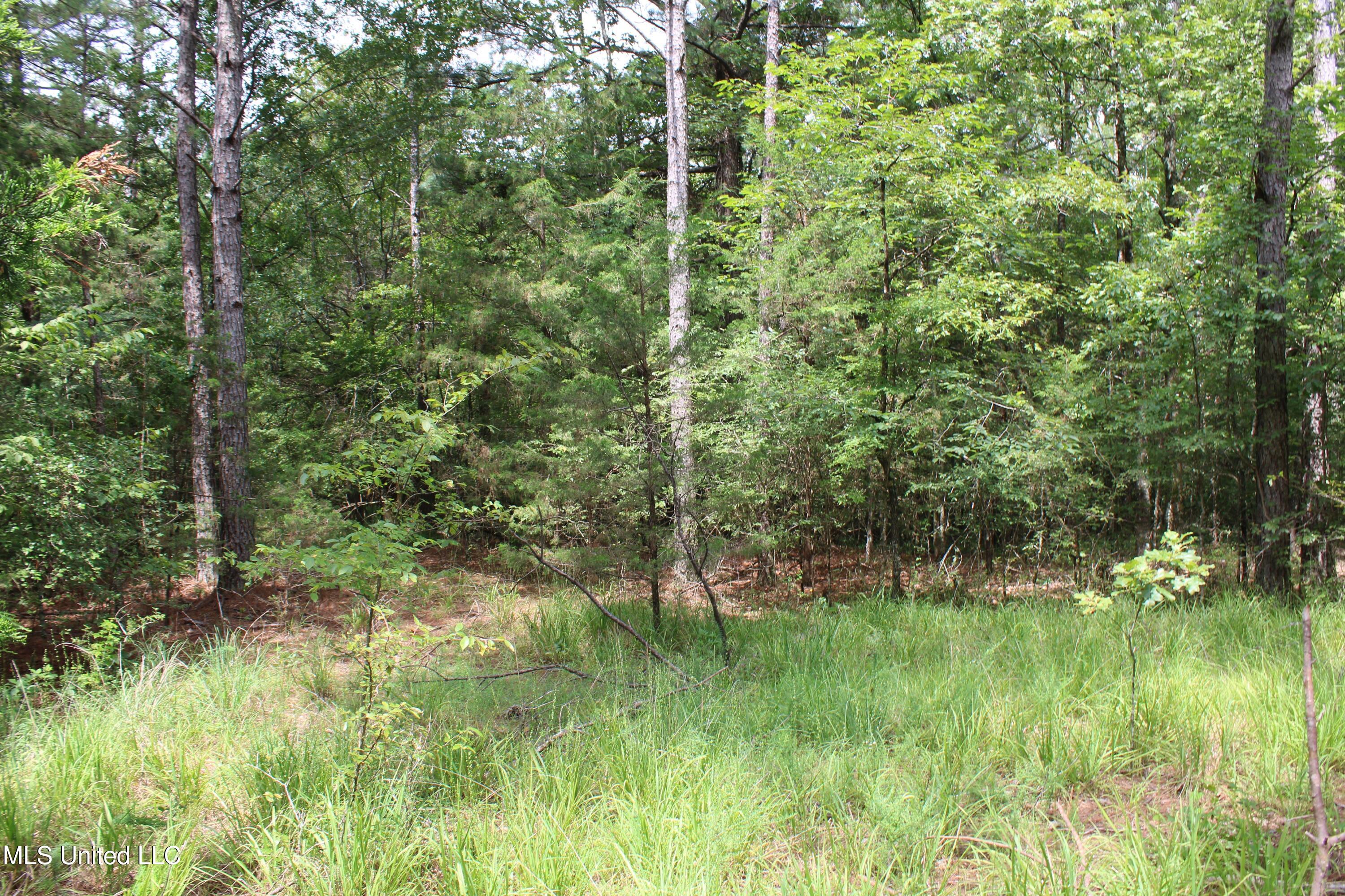 14495 Valley View Byhalia, MS 38611 - Photo 20 of 22 IMG_6296