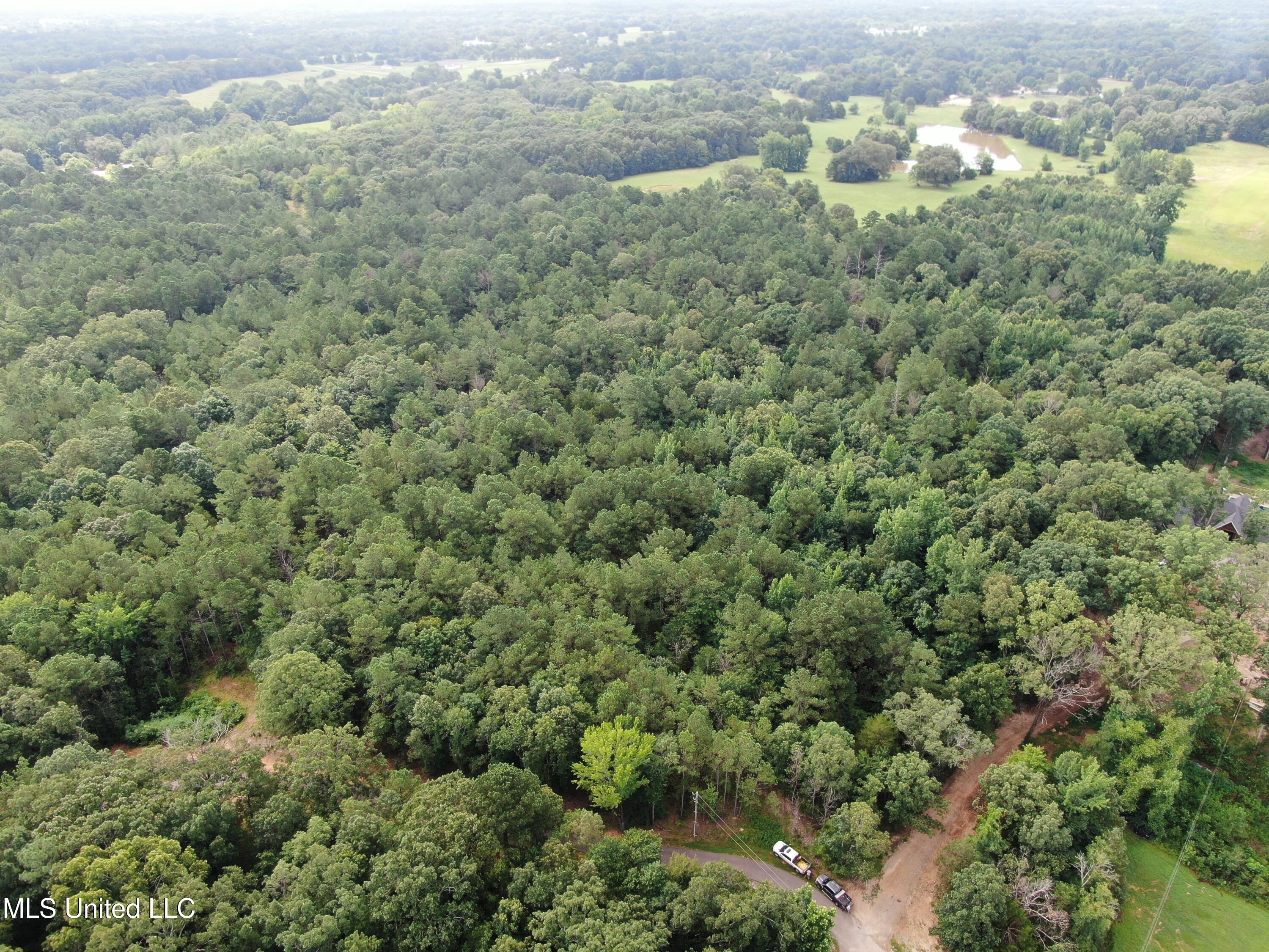 14495 Valley View Byhalia, MS 38611 - Photo 2 of 22 DJI_0610