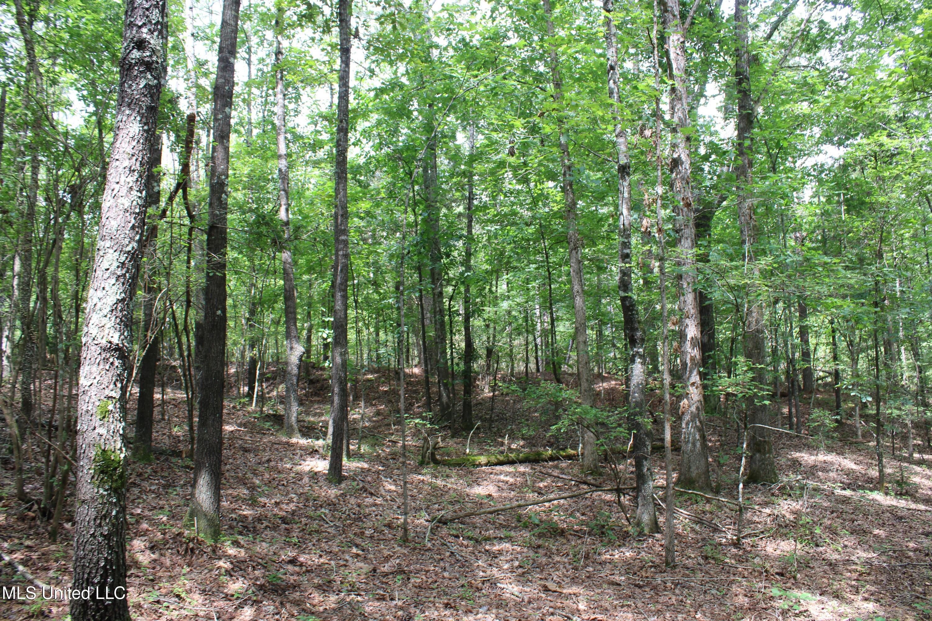 14495 Valley View Byhalia, MS 38611 - Photo 22 of 22 IMG_6298