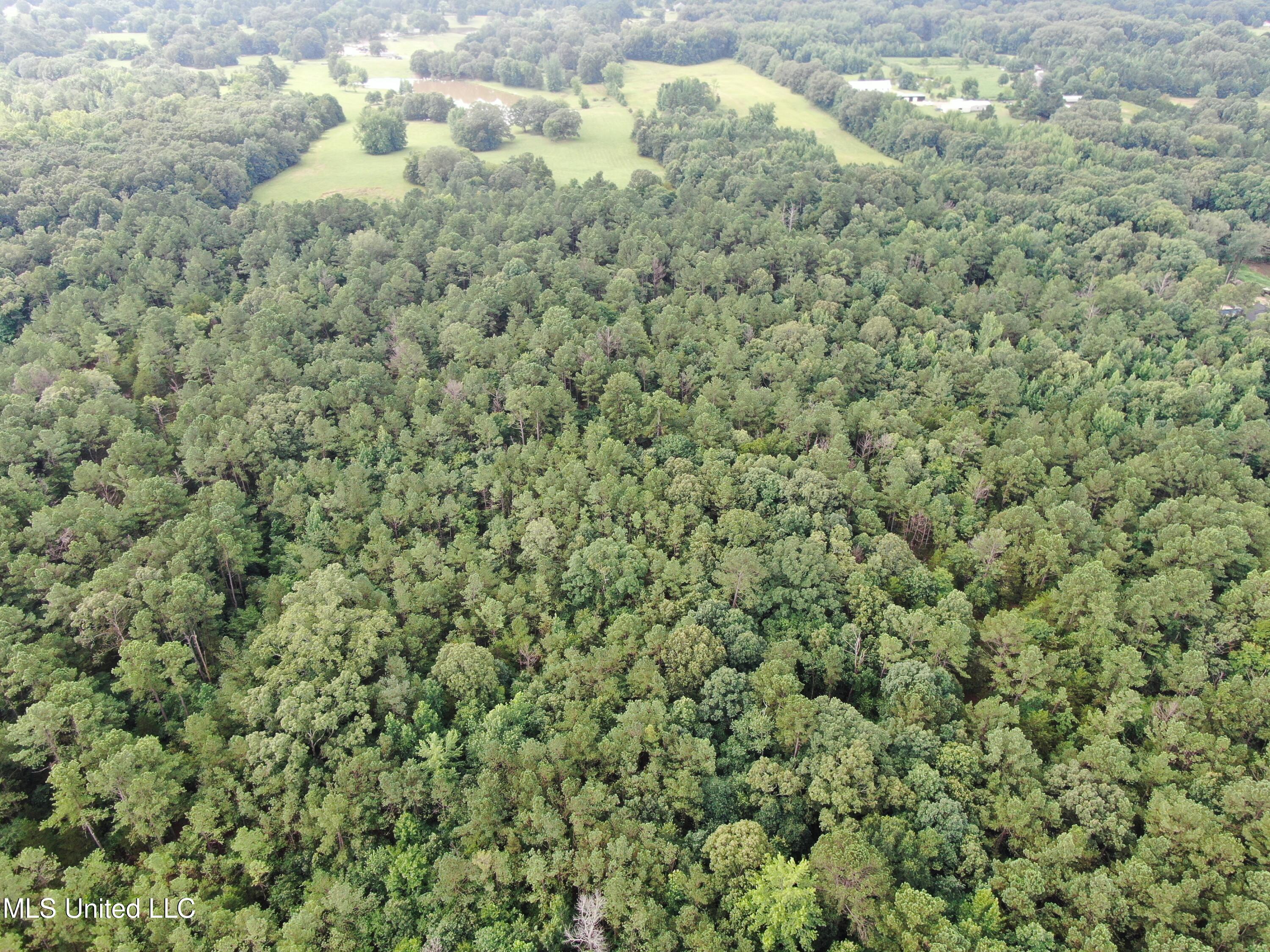 14495 Valley View Byhalia, MS 38611 - Photo 5 of 22 DJI_0617