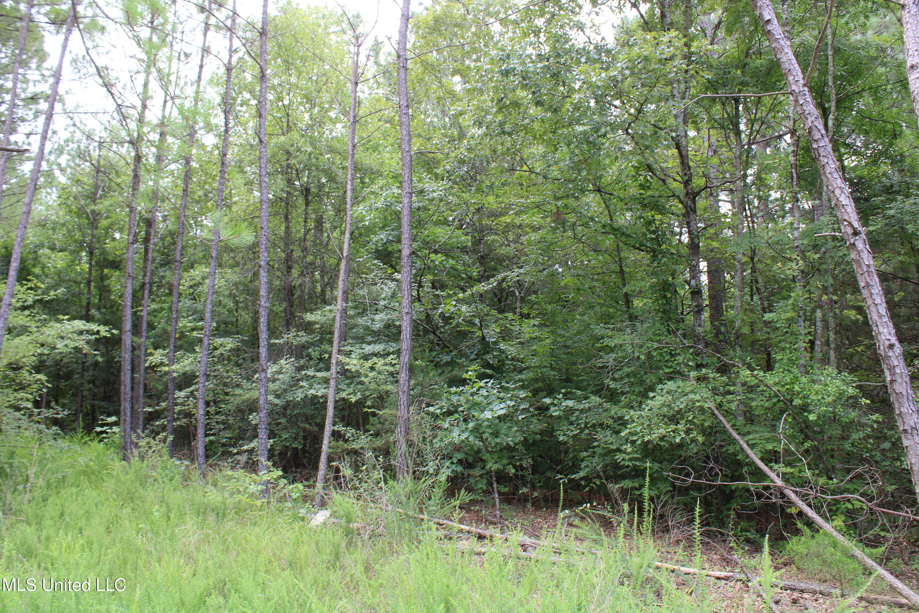 14495 Valley View Byhalia, MS 38611 - Photo 6 of 22 IMG_6283
