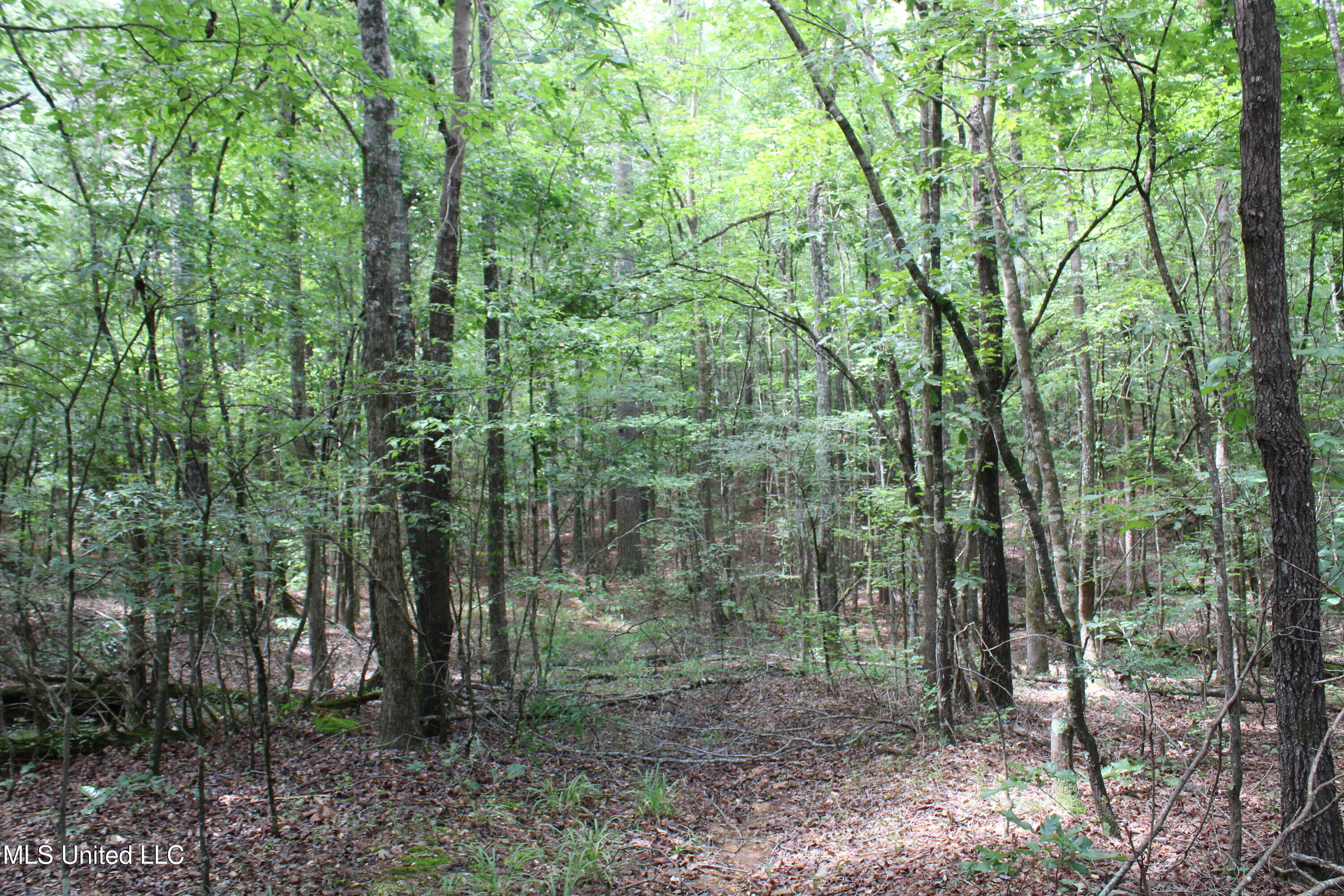 14495 Valley View Byhalia, MS 38611 - Photo 9 of 22 IMG_6291