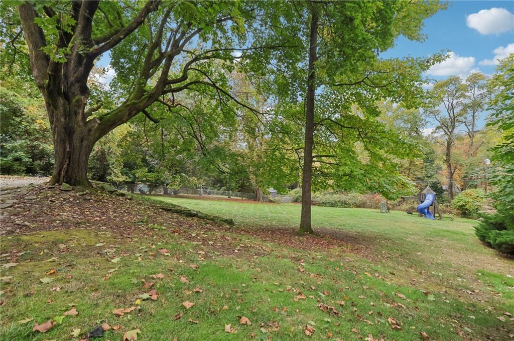 12 Holland Road Pittsburgh, PA 15235 - Photo 39 of 49 a view of a tree in a yard