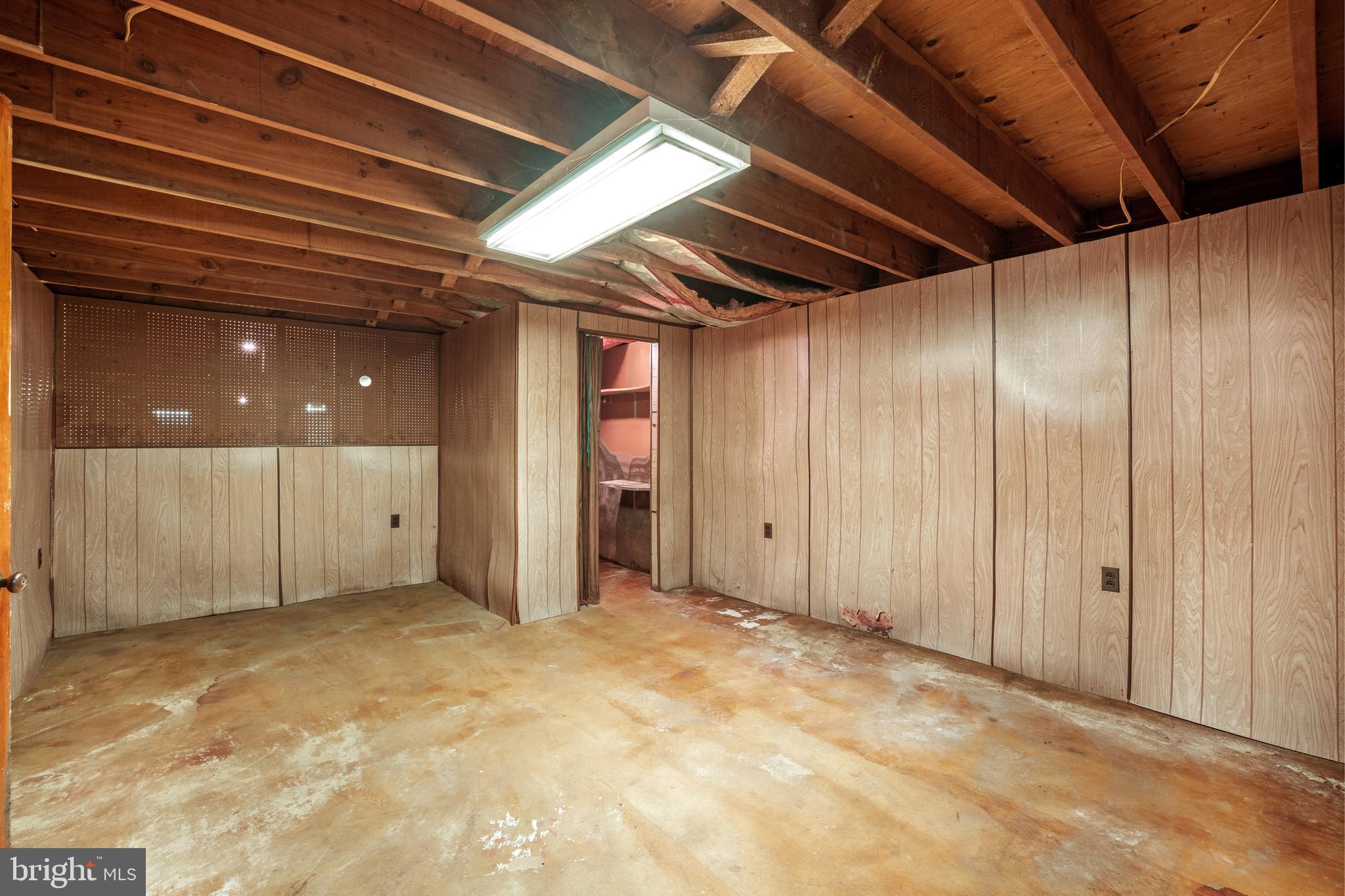 2170 Old Dairy Farm Road Gambrills, MD 21054 - Photo 22 of 47 Unfinished basement, showing growth on the walls