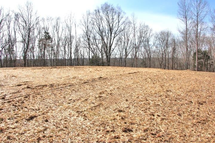 26-27 Cherokee Road Lucas, KY 42156 - Photo 16 of 46 Gallery Image 16
