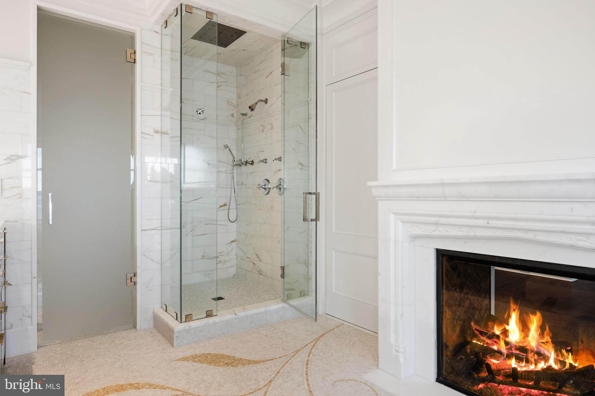 3344 Harness Creek Road Annapolis, MD 21403 - Photo 40 of 50 Shower with top of the line fixtures and fireplace