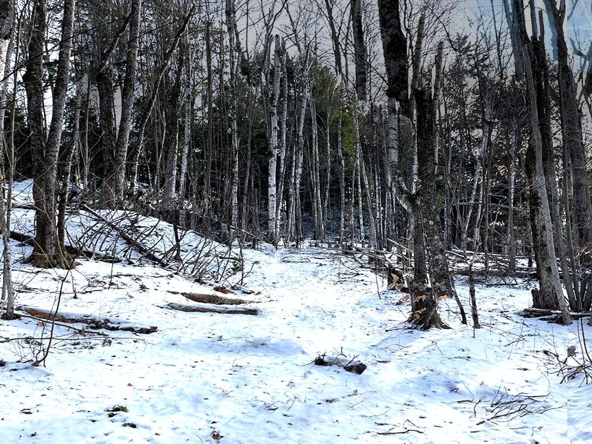 0 Bowen Road, Unit LOT 2 Waitsfield, VT 05673 - Photo 12 of 28