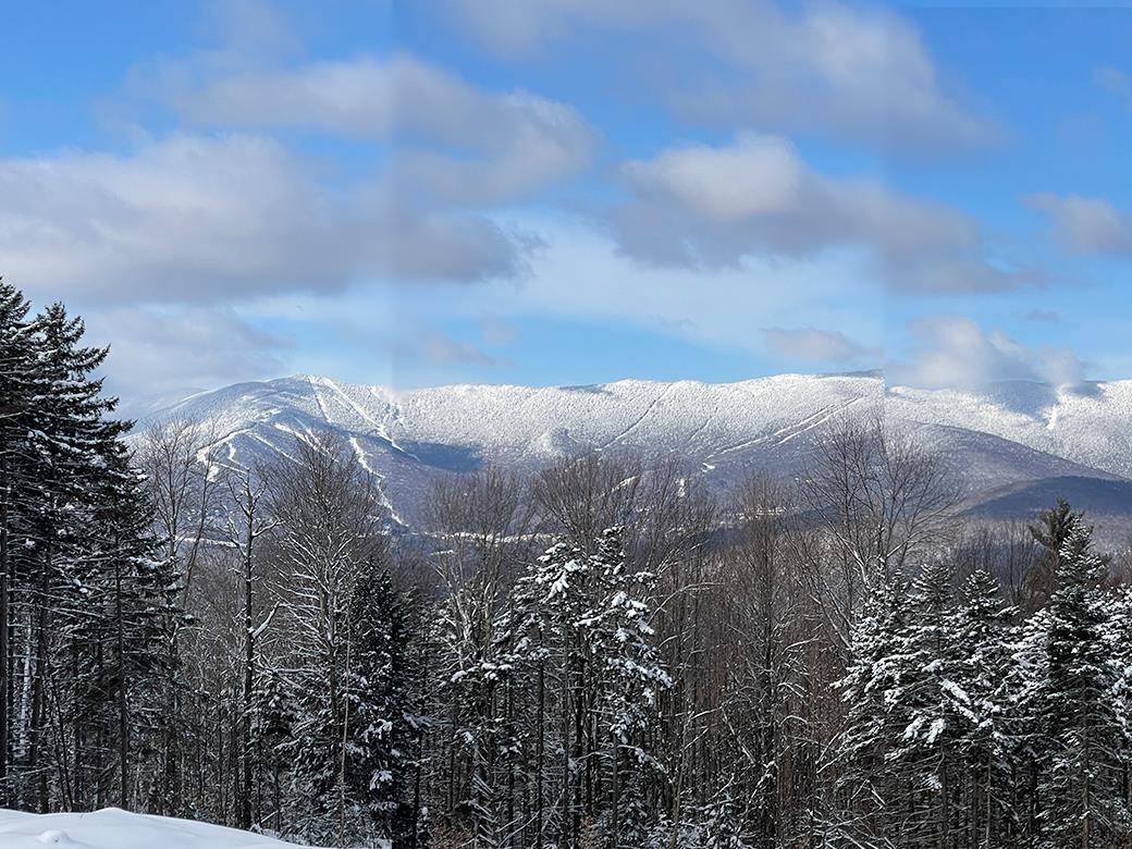 0 Bowen Road, Unit LOT 2 Waitsfield, VT 05673 - Photo 13 of 28