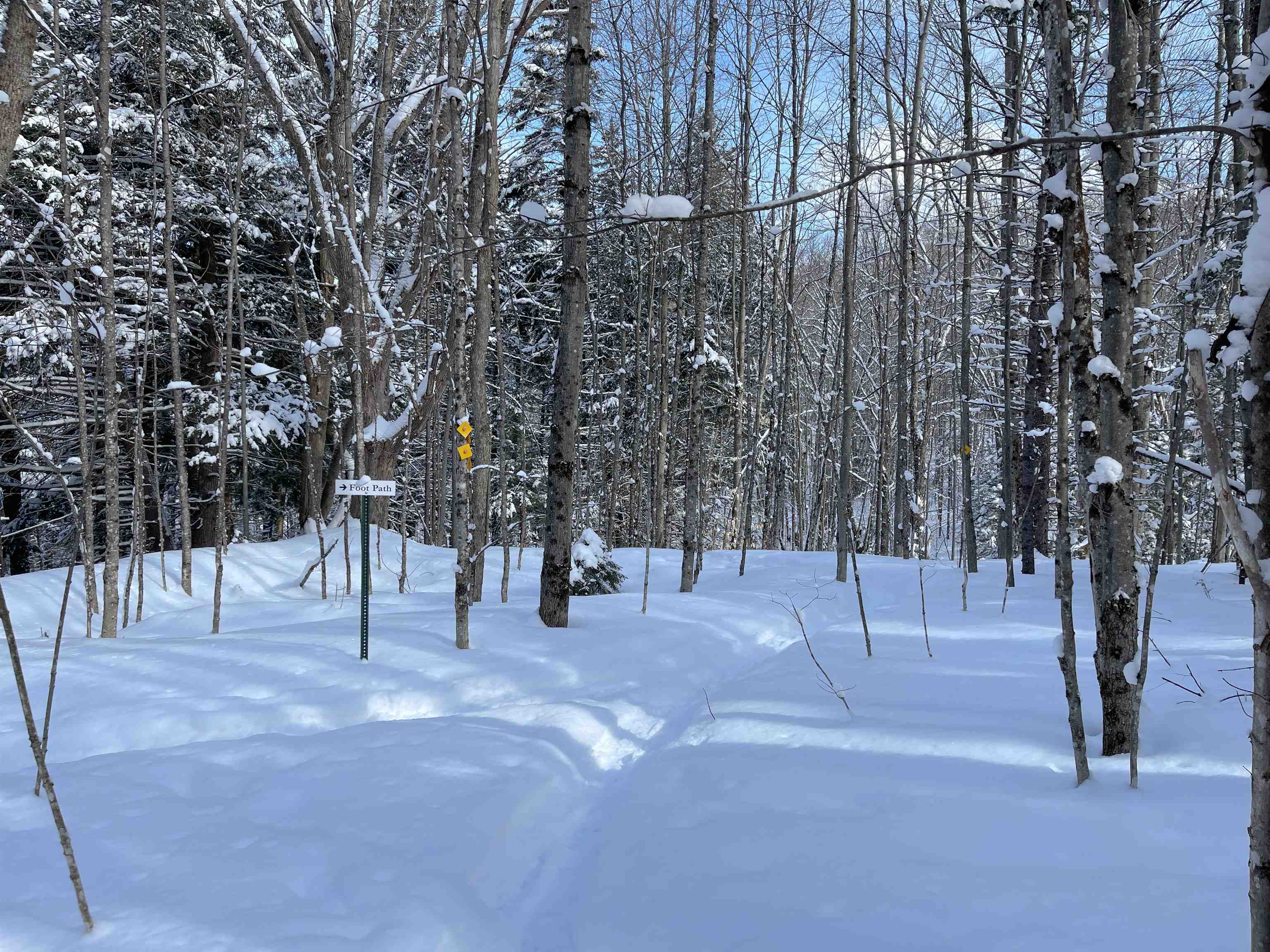 0 Bowen Road, Unit LOT 2 Waitsfield, VT 05673 - Photo 16 of 28