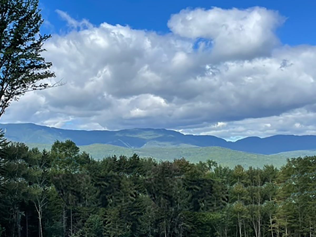 0 Bowen Road, Unit LOT 2 Waitsfield, VT 05673 - Photo 17 of 28