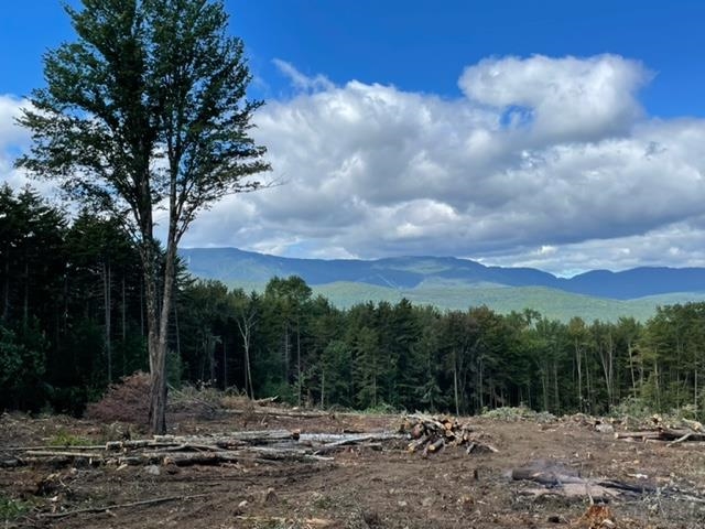 0 Bowen Road, Unit LOT 2 Waitsfield, VT 05673 - Photo 18 of 28