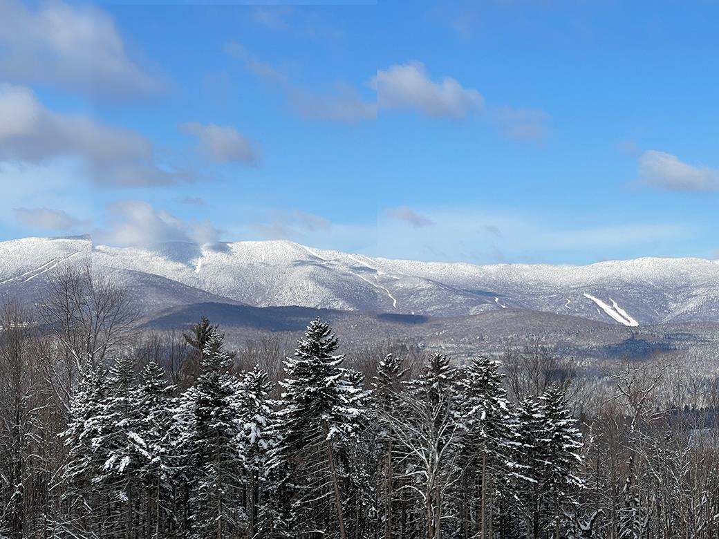 0 Bowen Road, Unit LOT 2 Waitsfield, VT 05673 - Photo 2 of 28