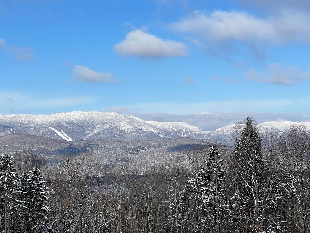0 Bowen Road, Unit LOT 2 Waitsfield, VT 05673 - Photo 22 of 28