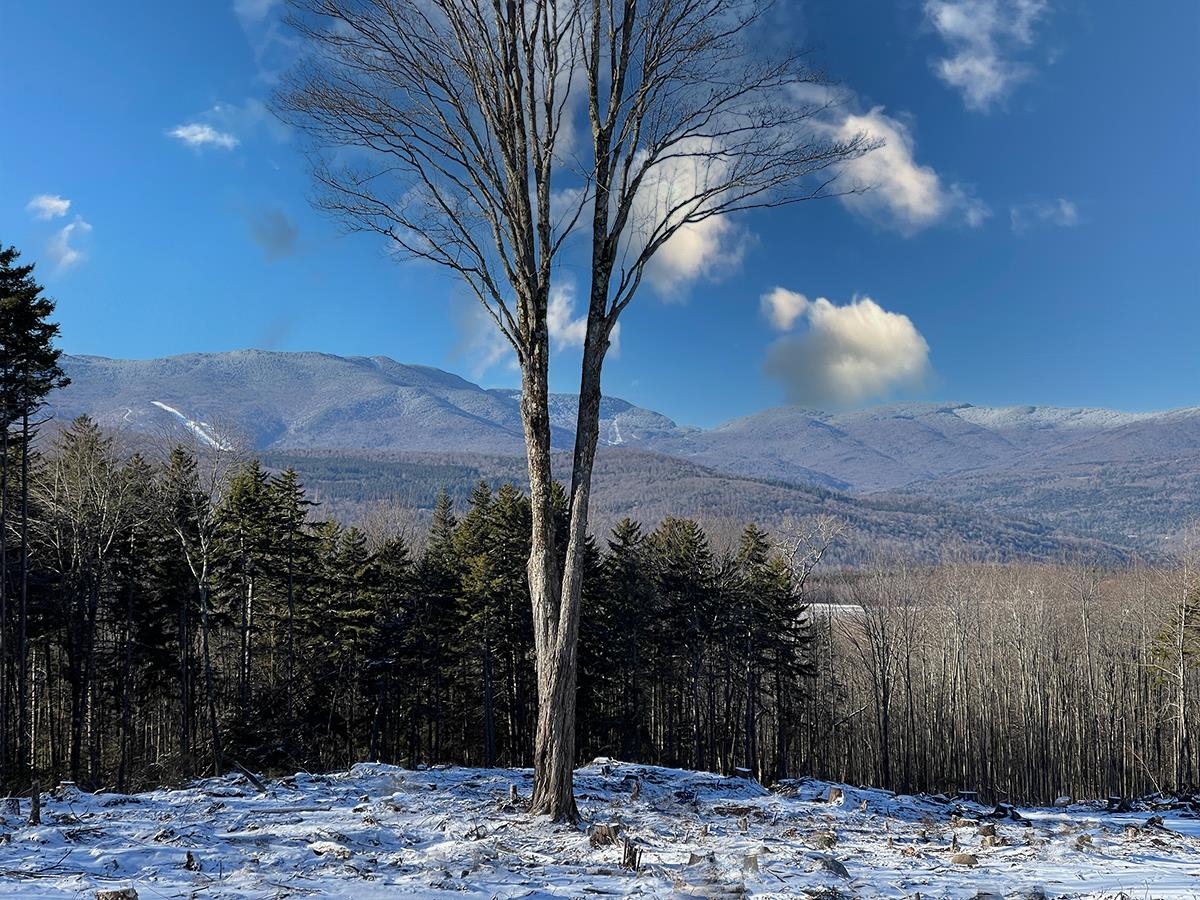 0 Bowen Road, Unit LOT 2 Waitsfield, VT 05673 - Photo 26 of 28