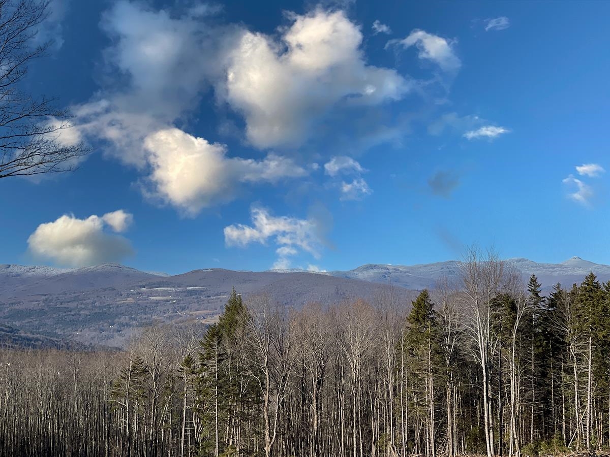 0 Bowen Road, Unit LOT 2 Waitsfield, VT 05673 - Photo 27 of 28
