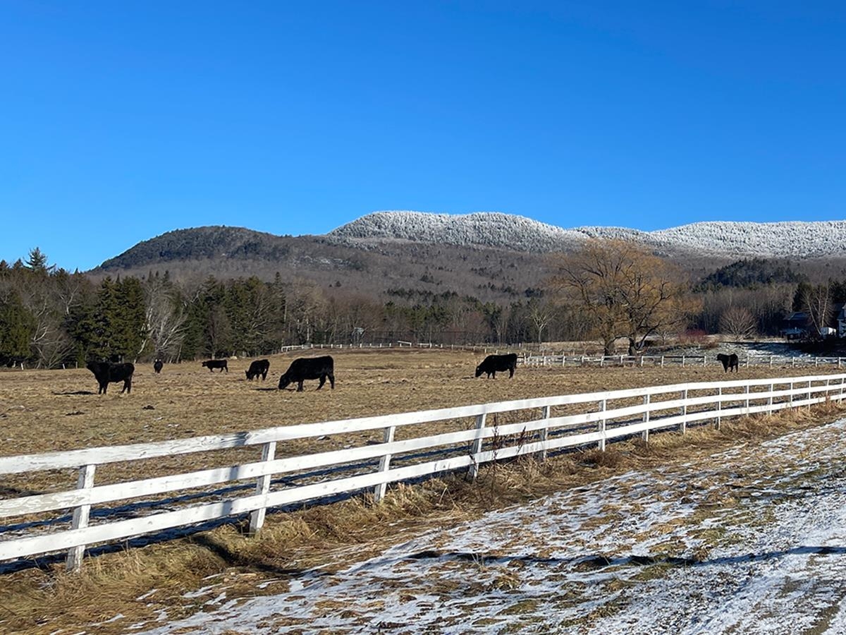 0 Bowen Road, Unit LOT 2 Waitsfield, VT 05673 - Photo 4 of 28