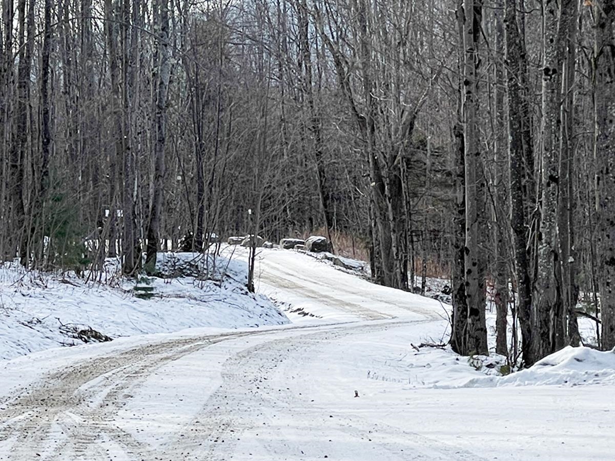 0 Bowen Road, Unit LOT 2 Waitsfield, VT 05673 - Photo 5 of 28