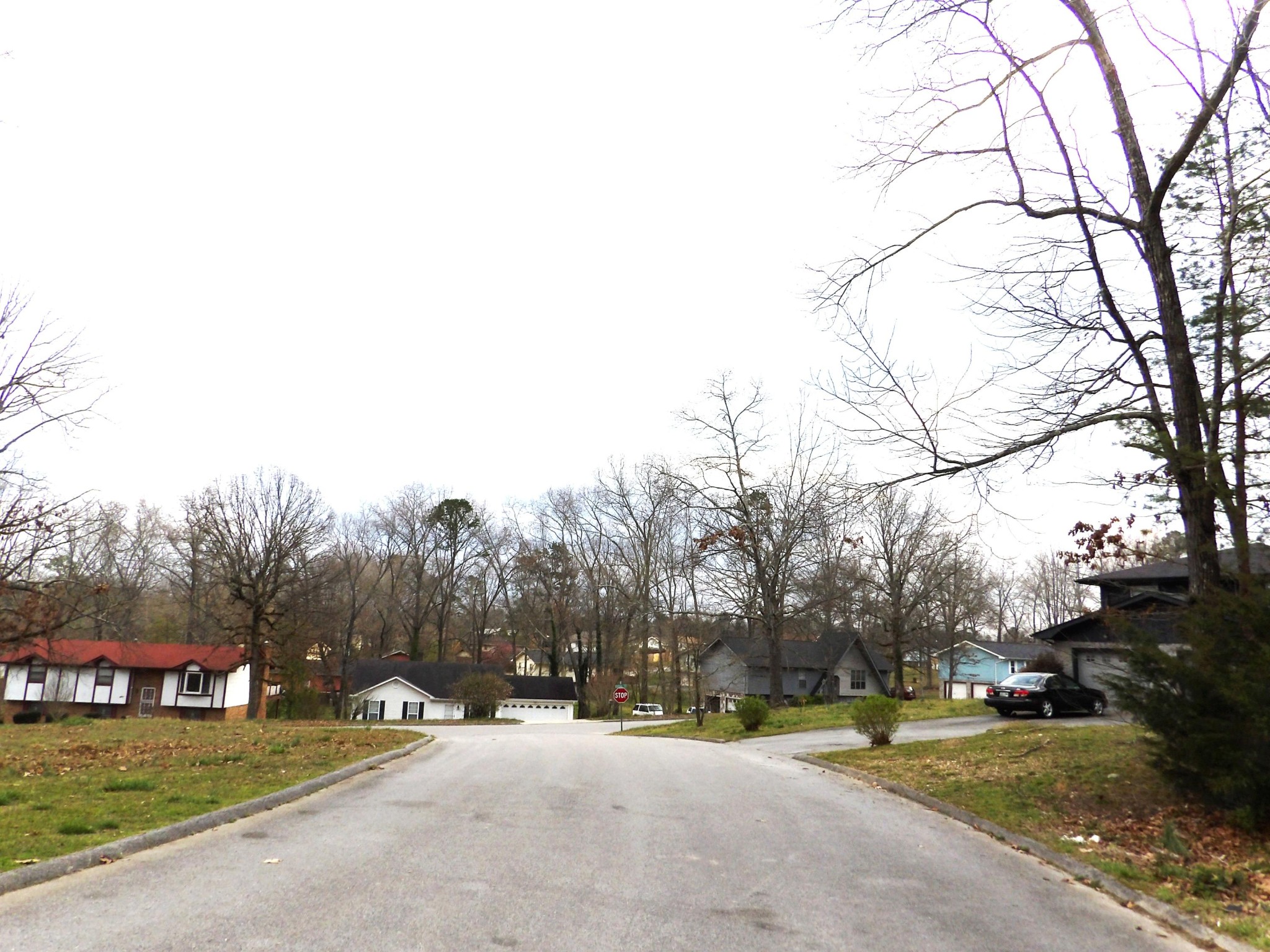 14 Cicero Trail Chattanooga, TN 37421 - Photo 5 of 8