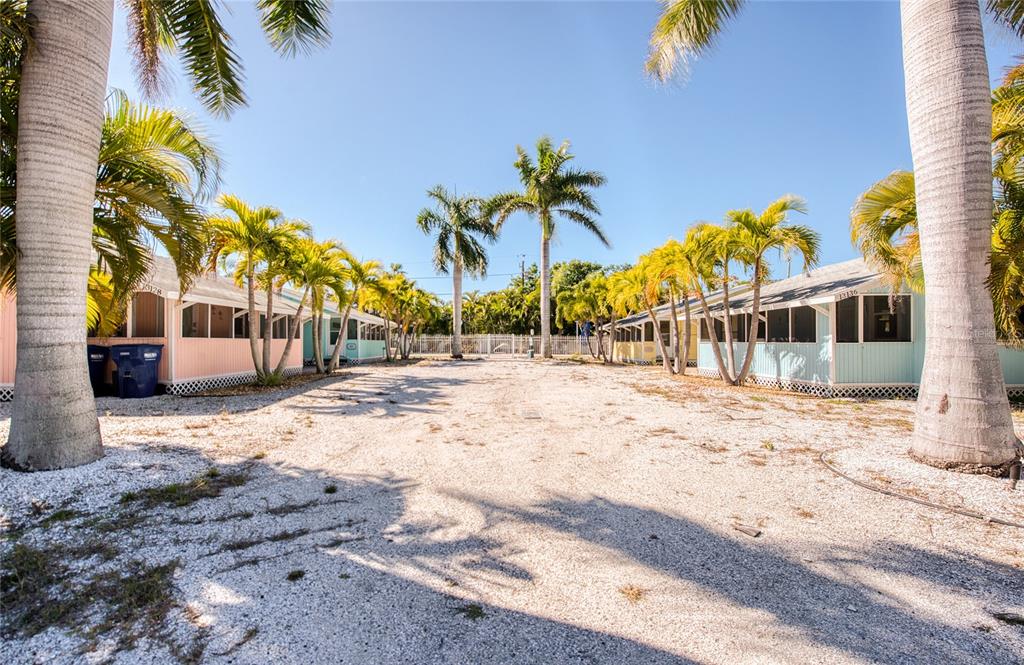 13136 4th Street East Madeira Beach, FL 33708 - Photo 4 of 75 a view of a palm tree with a lawn chairs