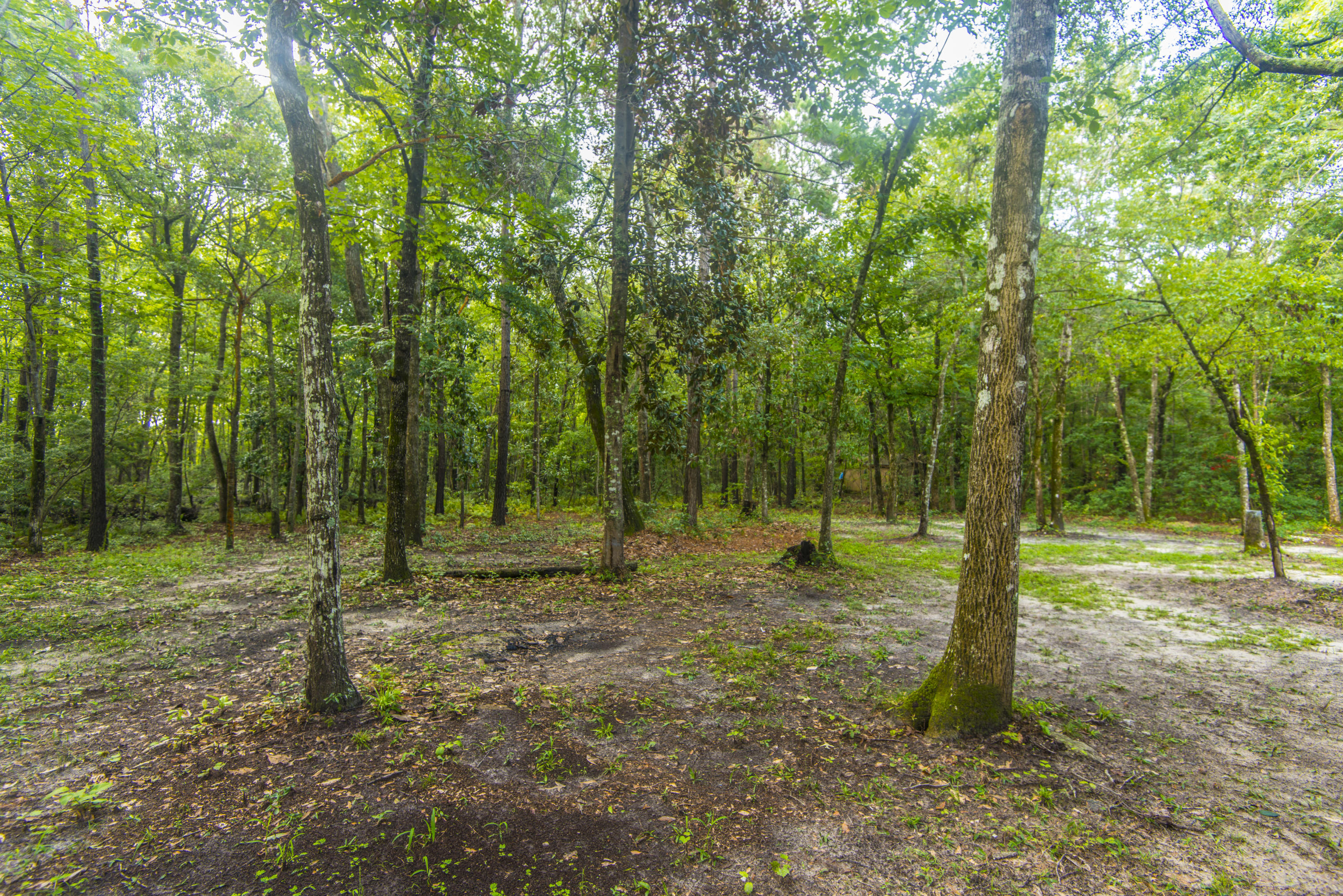 1329 Whippoorwill Farm Road Johns Island, SC 29455 - Photo 33 of 33 _DSC0999