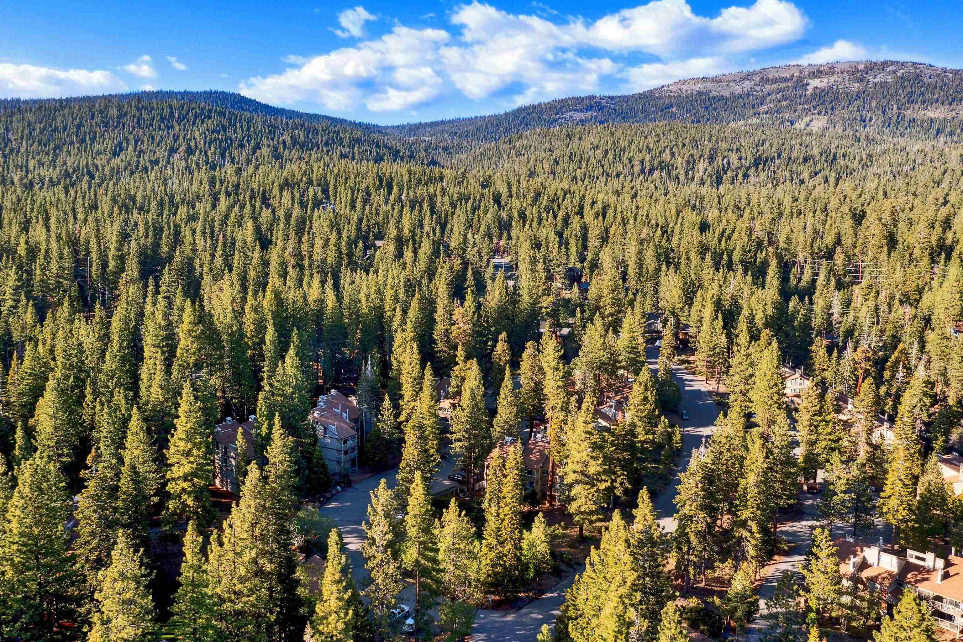 1001 Commonwealth Drive, Unit 218 Kings Beach, CA 96143 - Photo 21 of 28 a view of a pathway