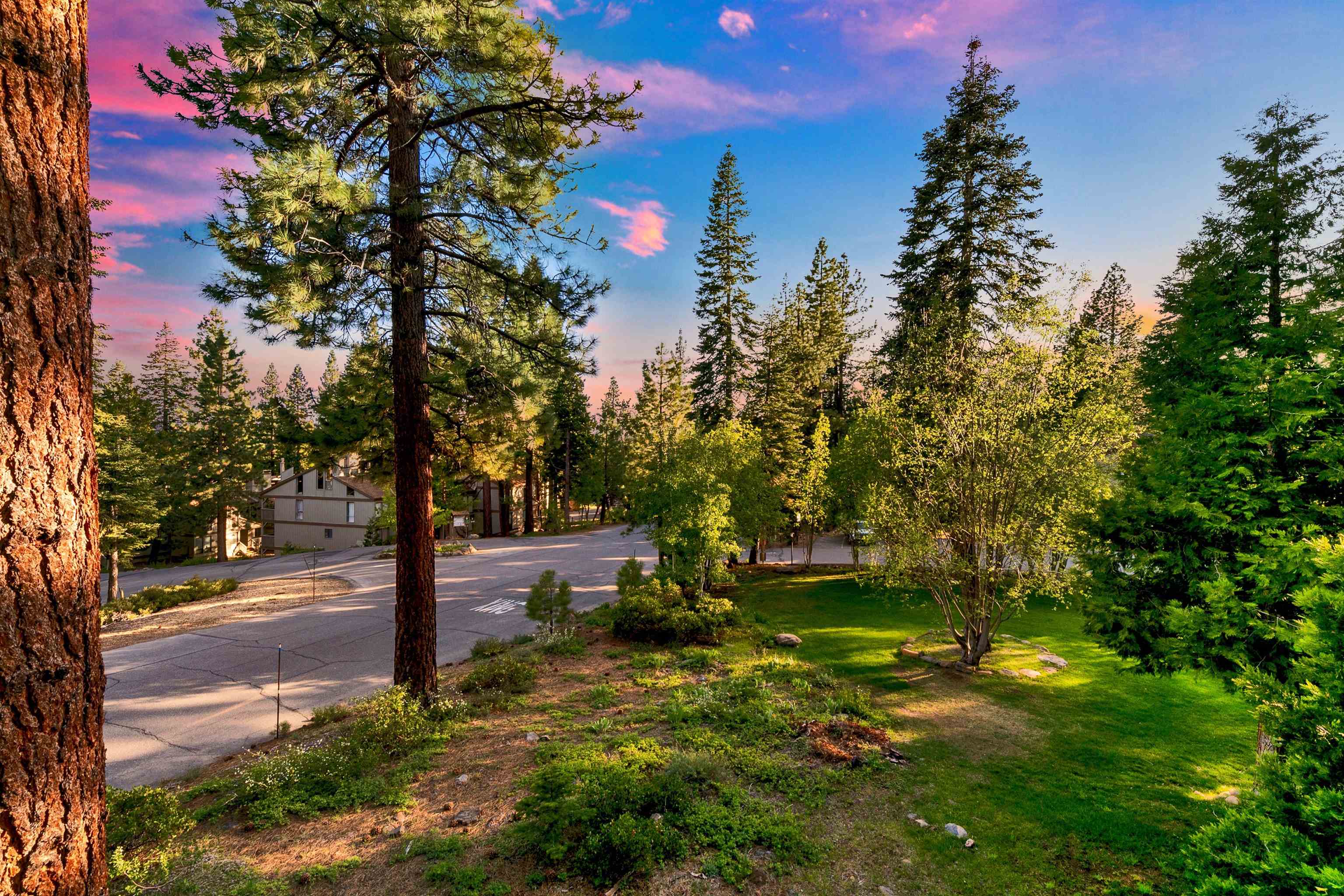 1001 Commonwealth Drive, Unit 218 Kings Beach, CA 96143 - Photo 22 of 28 a backyard of a house with lots of green space