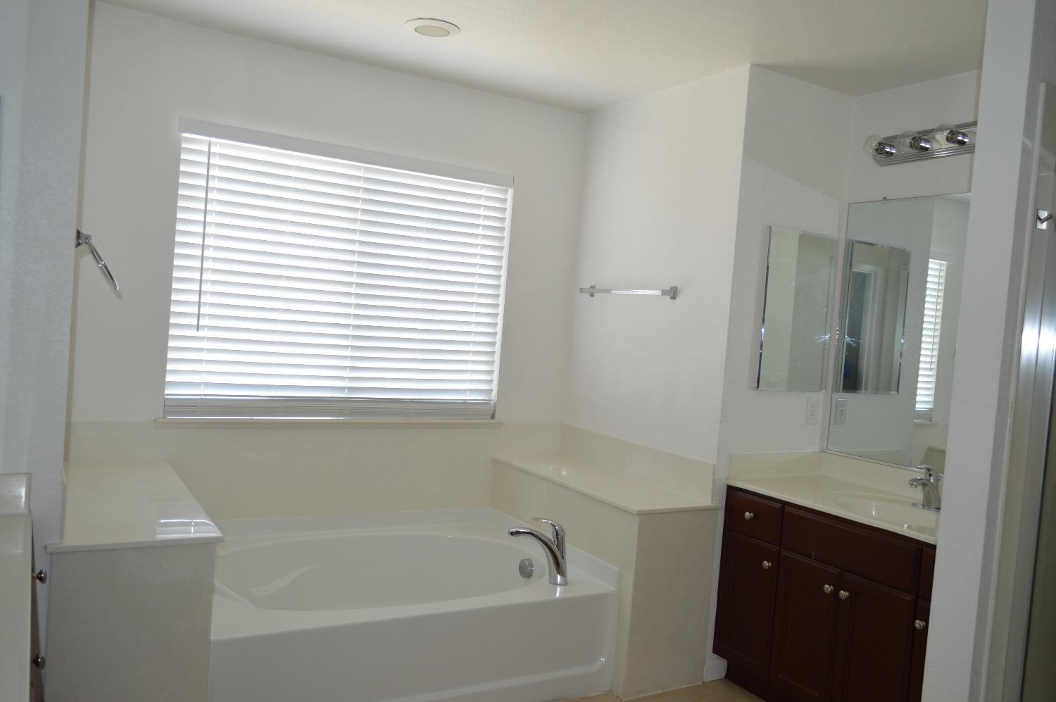 4227 Ivory Lane Turlock, CA 95382 - Photo 44 of 60 a bathroom with a bathtub and a sink