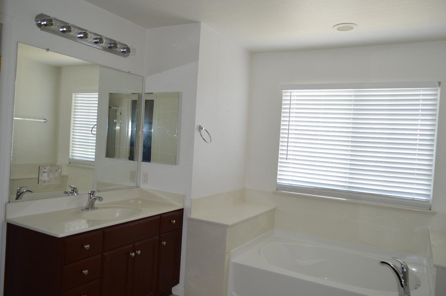 4227 Ivory Lane Turlock, CA 95382 - Photo 45 of 60 a bathroom with a tub sink shower and a mirror