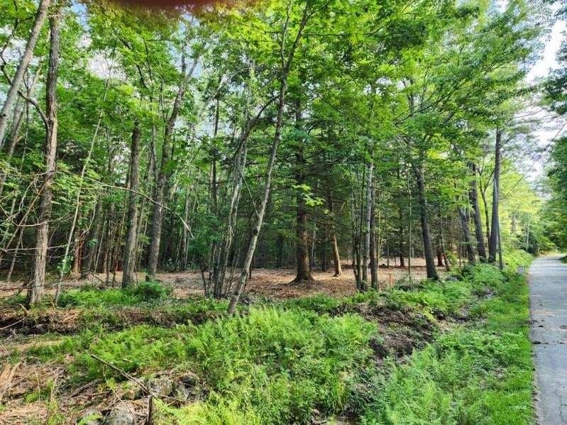 Lot 1-1 Richmond Road Troy, NH 03465 - Photo 11 of 13