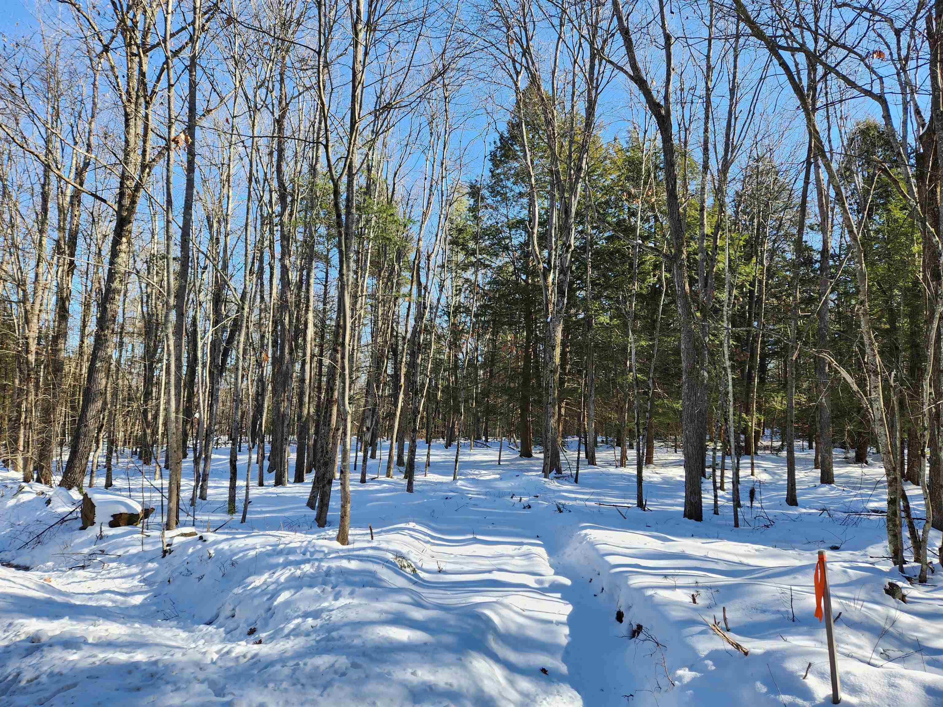 Lot 1-1 Richmond Road Troy, NH 03465 - Photo 6 of 13