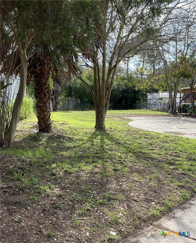 a view of a trees with a yard