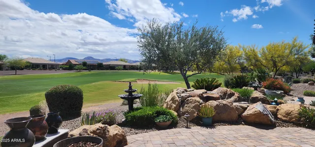 a view of a garden with a large tree