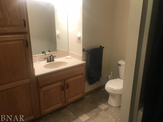 9563 Clintonia Road Clinton, IL 61727 - Photo 20 of 45 a bathroom with a sink toilet and mirror