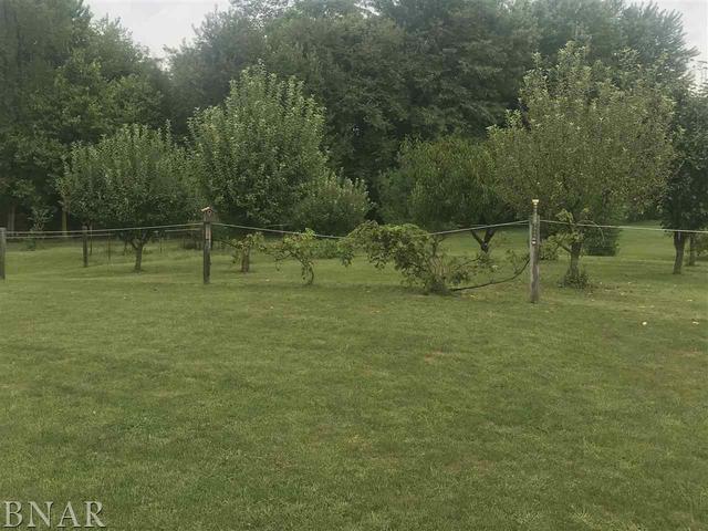 9563 Clintonia Road Clinton, IL 61727 - Photo 38 of 45 a backyard of a house with lots of green space