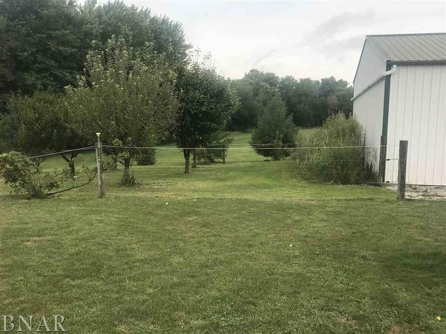 9563 Clintonia Road Clinton, IL 61727 - Photo 39 of 45 a view of a park with large trees