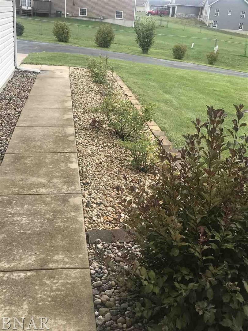 9563 Clintonia Road Clinton, IL 61727 - Photo 40 of 45 a view of a garden