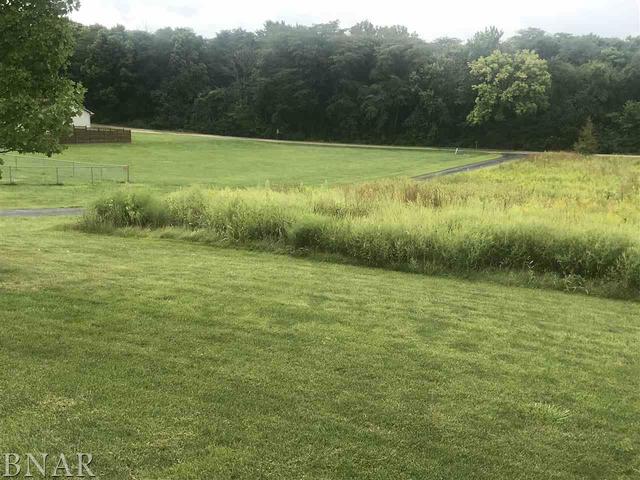 9563 Clintonia Road Clinton, IL 61727 - Photo 41 of 45 a view of a field with a yard