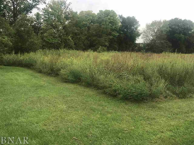 9563 Clintonia Road Clinton, IL 61727 - Photo 43 of 45 a view of a lake