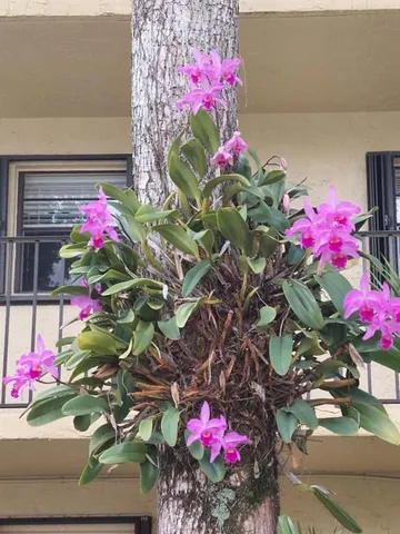 $1,400 | 367 South Federal Highway, Unit B105, Deerfield Beach, FL 33441